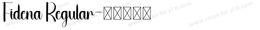 Fidena Regular字体转换